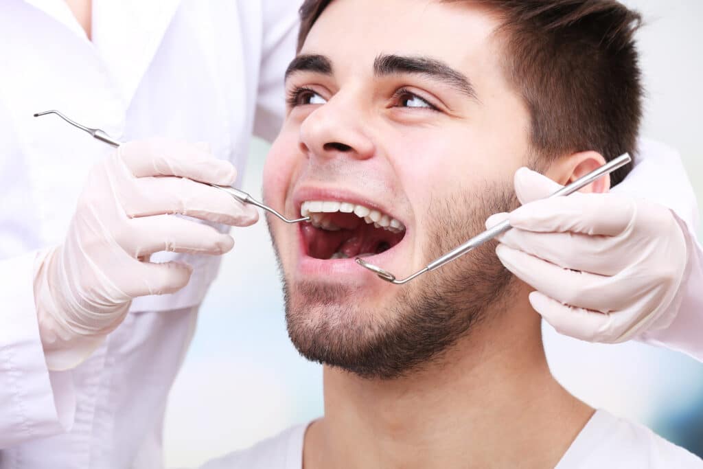 The 8 Integral Parts Of The Mouth parts of the mouth
